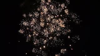 Pyroally Fireworks 41shots Straight up Cake Factory Direct fireworks Supplier