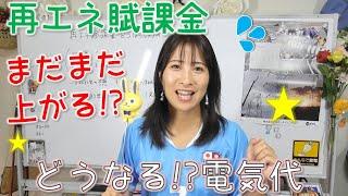 再エネ賦課金が将来も上がり続ける！？