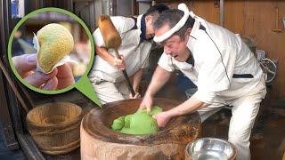 Nara Street Food Guide w/ Extra Mochi