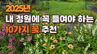 2025년 내 정원에 꼭 들여야 하는 10가지 꽃 강력추천