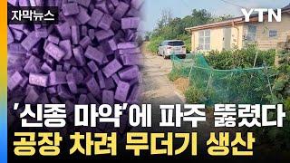 [자막뉴스] 보라색 알약 '우수수'... 파주 야산 공장 수색하니 / YTN