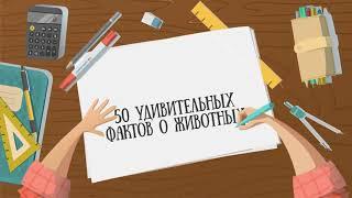 50 фактов о животных, которые растопят любое сердце.