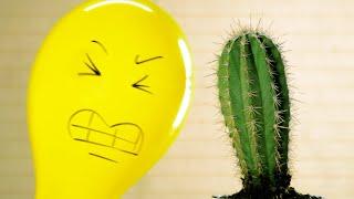 Balloons Vs Cactus 