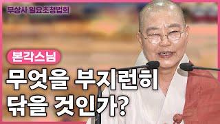 우리가 불교공부를 통해서 무엇을 닦을 것인가? #본각스님 #무상사일요초청법회 867회 (풀버전)