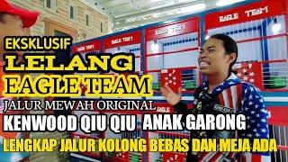 LELANG DAN FLASH DEAL MERPATI TRAH ORIGINAL TEAM EAGLE