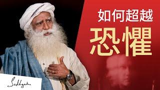 如何超越恐懼 | Sadhguru (薩古魯)