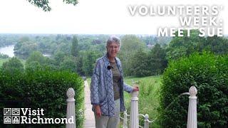 Volunteers' Week 2024: Meet Sue