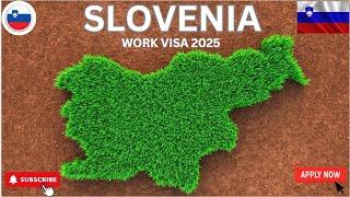 How to Get a Slovenia Work Visa: Step-by-Step Guide for Non-EU Citizens! #2025