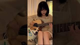 Guess which song is this? #youtube #guitar#music#song#singer#guitarlife#fingerstyle#viral#fyp#shorts