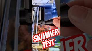 Einbau & Test @MobyLab  Skimmers am PAT Mini!  Funktioniert er wirklich?  #Aquarium #Skimmer