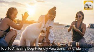 Top 10 Amazing Dog Friendly Vacations in Florida in 2023 ️️| Best Dog-Friendly Trips in Florida