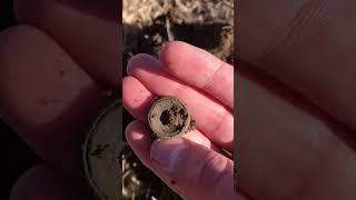 1850s Military Button Found on the Oregon Trail!