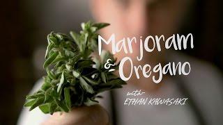 Spice Blends: Marjoram & Oregano | Cafe Zupas