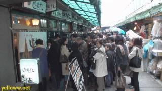 Tsukiji Fish Market Tourist Guide