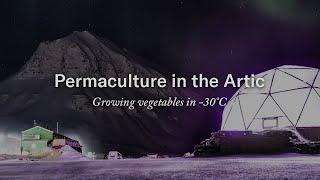 Farming In The Arctic | Growing Vegetables In Freezing Temperatures