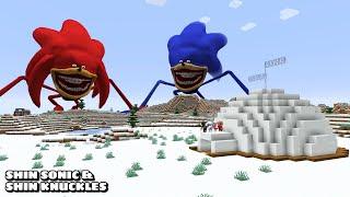 DEFENDING FROM SHIN SONIC AND KNUCKLES COMBO in Minecraft - Gameplay - Coffin Meme