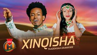 Taaddasaa Daamxee - XINQISHA -  New Ethiopian Oromo Music 2024 (Official Video)