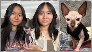 Janet and Kate adopted a hairless Cat!