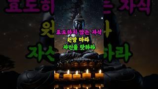 #부처님말씀 #부처님가르침 #부처님명언 #자기수행 #인생조언 #부모와자식  #부모역할 #자식의복 #불교오디오북 #불교명상 #불교방송