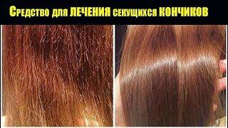 Brittle, DEAD hair, Dry hair tips? Hair restoration. How to make your hair shiny