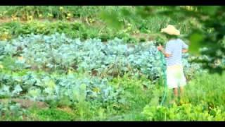 The Basics of Natural Farming (part 2 of 2)