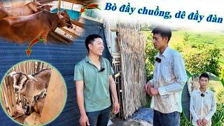 NGỠ NGÀNG TRƯỚC KHỐI TÀI SẢN HIỆN TẠI CỦA "EM CƠ KHUYẾT TẬT".