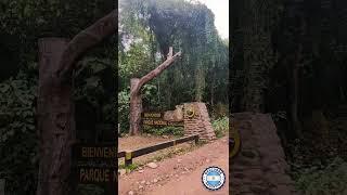 San Francisco  Parque Nacional Calilegua  Jujuy 