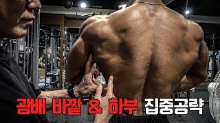 역삼각형 등을 만드는 5가지 등 운동