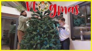 VLOGMAS 24 ️kitimo jelku