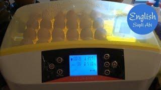 How to use HHD 32 - 56 Automatic egg incubator and solve problems? Egg incubation Part 1【4K】