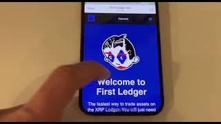 First ledger XRP meme wallet walk through how to set up guide and tutorial #xrpl