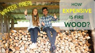 Firewood Season! First Time Buying Fire Logs for our Farmhouse | Harvesting Dreams