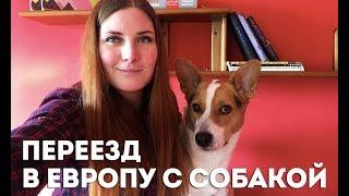 Всё про переезд с собакой в другую страну / Переезд с собакой в Венгрию