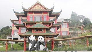 Panda sanctuary opens to Indonesian public