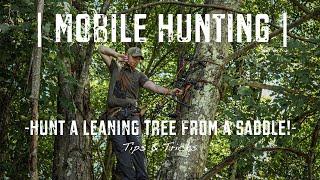 -How to Hunt a Leaning Tree from the Saddle!-