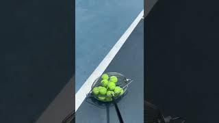 Tennis Made Easy: Fast Ball Collector #smalleyes #smallball #tennisequipment #funny