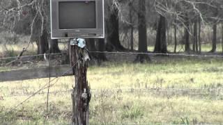 wade 50 beo   tv