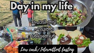 Day In My Life/Grocery Shopping/Low Carb Recipes/ ഇനി കുറച്ചു ആരോഗ്യം നോക്കാം/#canadamalayalamvlogs