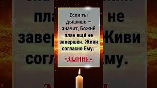 Если ты дышишь — значит, Божий план ещё не завершён. Живи согласно Ему. «Аминь».