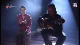 Lo Flamenco. Carmen Linares, Rocío Segura, Jesús Heredia... 2015