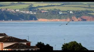 A summers evening. Dawlish to Exmouth beach view. A one minute quickie video.