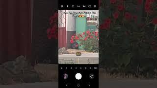 Samsung Galaxy S24 Ultra Zoom & picture ️ #s24ultra #samsung #shorts