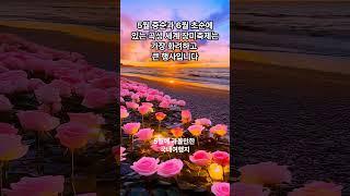 5월에 가볼만한 국내여행지 #힐링 #마음치유 #여행맛집 #관광지  #좋은글 #지식