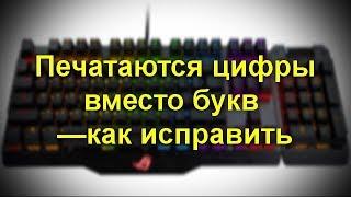 Что делать, если ноутбук печатает цифры, а не буквы