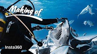Insta360 - Filming a Dive With Hammerhead Sharks (ft. Zimydakid)
