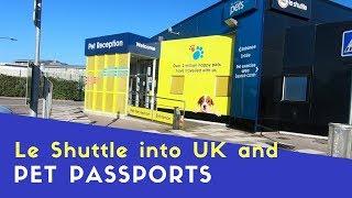 Back Into UK On Eurotunnel And Pet Passport Control | Euro Trip 2018 Pt20