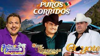 El Coyote, Chuy Lizarraga y Julio PreciadoMix Con Banda Para Pistear -  Puros Corridos2024 