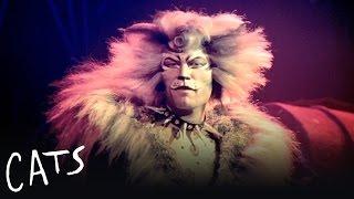 The Rum Tum Tugger | Cats the Musical