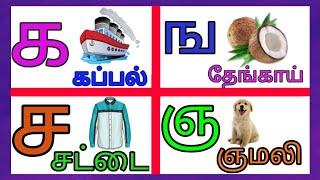 உயிர் மெய் எழுத்துக்கள் க ங ஞ எழுத்துக்கள்/learn for kids vedio alphabetstamil