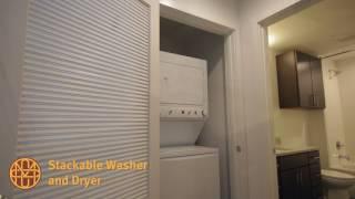 Market City Center Apartment Tour